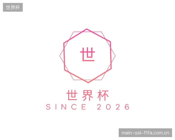 解读世界杯公司